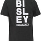 Bisley Cotton Vertical Logo Tee (BKT091)