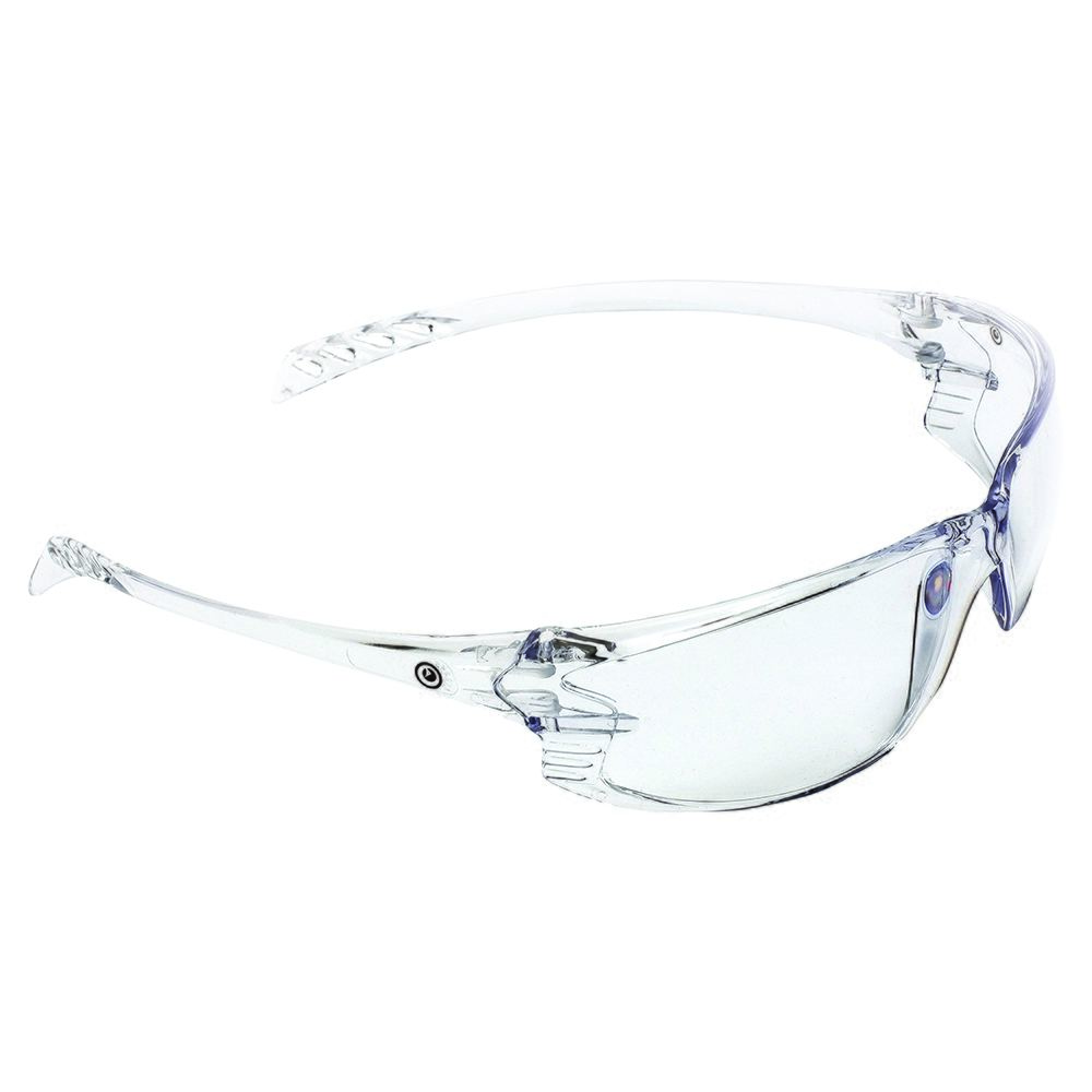 Pro Choice Series Safety Glasses (990)