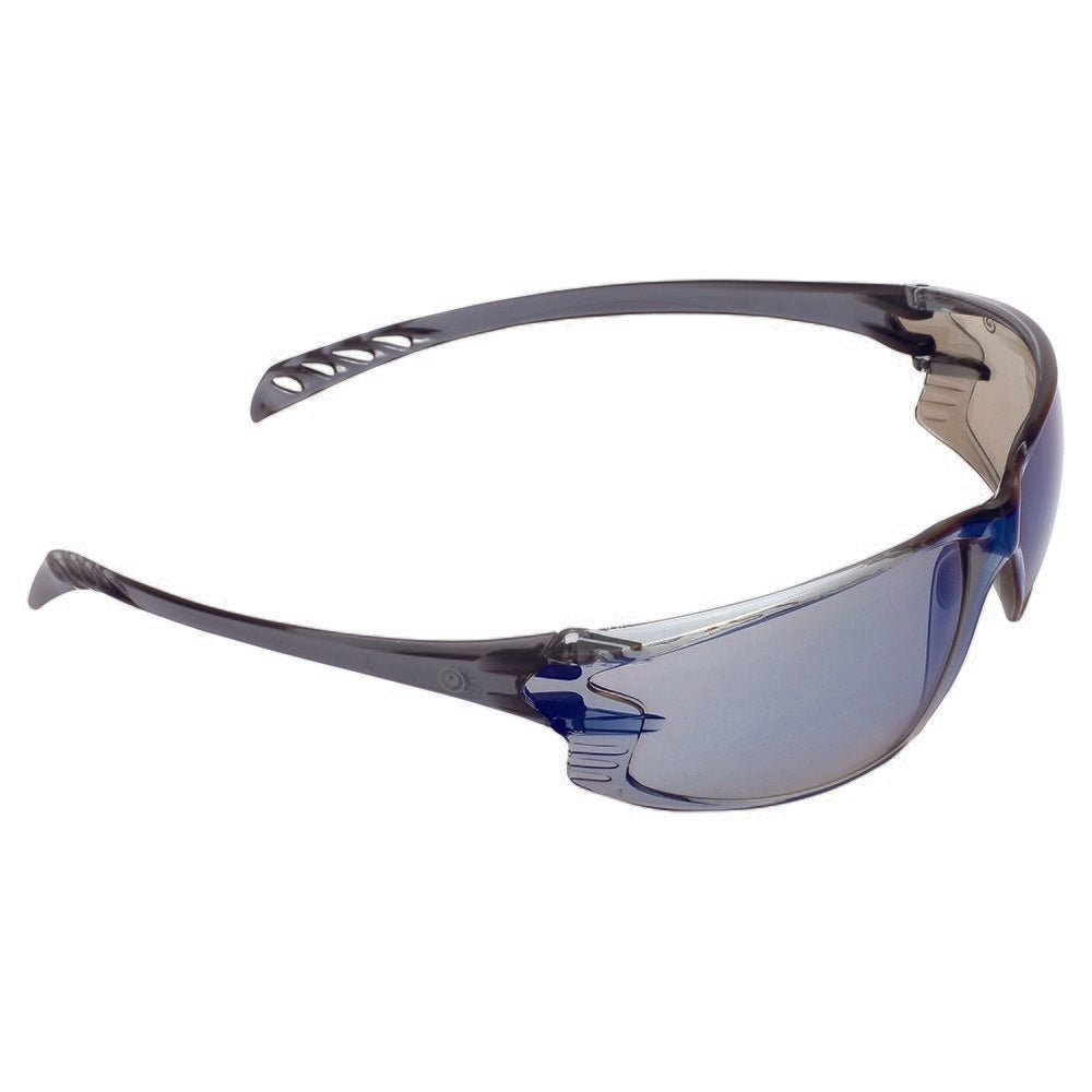 Pro Choice Series Safety Glasses (990)